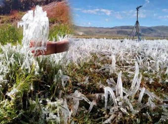 Ayacucho: más de 4250 hectáreas de cultivos se perdieron por las bajas temperaturas