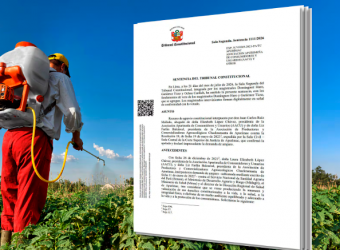 Tribunal Constitucional prohíbe temporalmente el uso y venta de cinco plaguicidas altamente tóxicos en el Perú