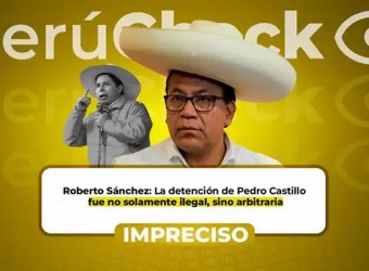¿La ONU declaró “arbitraria e ilegal” la detención de Pedro Castillo y exigió su liberación inmediata?