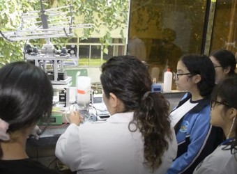 Solo el 33,36 % de personas dedicadas a la ciencia en el Perú son mujeres