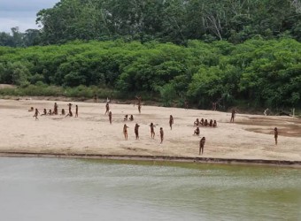 Madre de Dios: Corte IDH escuchará a los representantes de comunidades indígenas en caso contra el Estado peruano