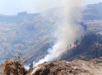 Comunero pierde la vida cuando intentaba apagar incendio forestal en Coyllurqui 
