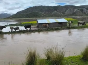 Puno: en alerta roja por desbordes de ríos