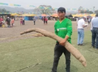 Madre de Dios: Fiscalía investiga asesinato de defensor ambiental como posible represalia