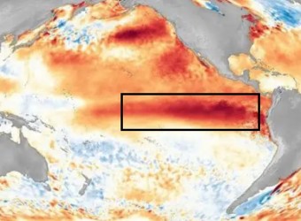 NOAA: El Niño se fortalece y eleva a 97 % probabilidad que se extienda hasta marzo de 2027