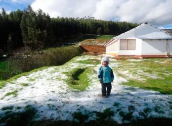 Ayacucho: intenso frío sigue golpeando a varias provincias de la región