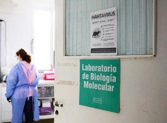 Argentina está en una carrera por hallar el origen del brote de hantavirus