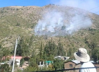 Pobladores logran controlar incendio forestal en Micaela Bastidas
