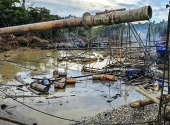 Madre de Dios: así funciona el sistema de extorsiones, amenazas y asesinatos que devasta los bosques en La Pampa