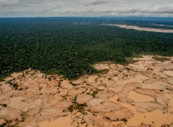 Organismos internacionales advierten efectos devastadores de minería ilegal