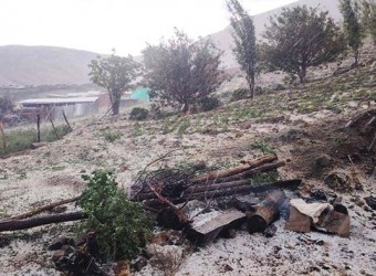 Intensa granizada afecta varias hectáreas de cultivos en Tambobamba