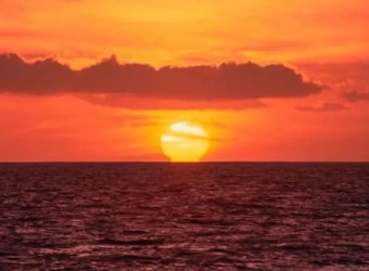 Los océanos del planeta alcanzan la temperatura media más alta jamás registrada mientras El Niño se intensifica