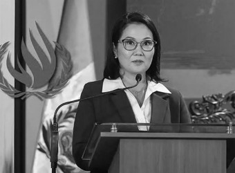 Relatores de la ONU expresan preocupación por riesgos para el ambiente y derechos humanos en el pedido de facultades