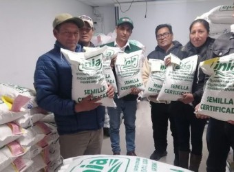 Más de 6 toneladas de semillas de quinua y maíz amiláceo de calidad para mejorar producción agraria de Apurímac