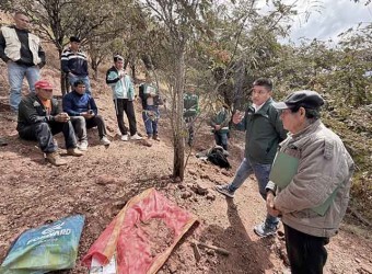 72 productores formalizan más de 106 hectáreas de plantaciones de tara 
