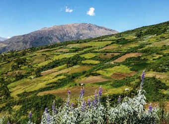 Serfor conforma Mesa Técnica Regional de Restauración de Ecosistemas y Tierras Forestales