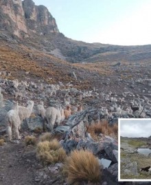 Conflicto entre pobladores de Noccansa y Chillpacca con mineros artesanales se profundiza ante indiferencia de autoridades, en Sabaino
