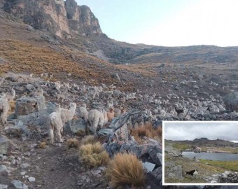 Conflicto entre pobladores de Noccansa y Chillpacca con mineros artesanales se profundiza ante indiferencia de autoridades, en Sabaino