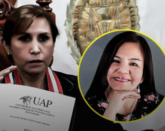 Abogada a la que Patricia Benavides plagió su artículo completo: 