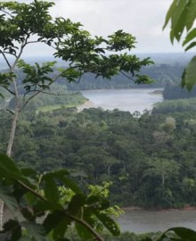 Más reservas, cuencas y zonas protegidas afectadas por la minería ilegal
