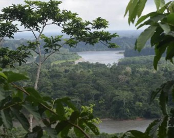 Más reservas, cuencas y zonas protegidas afectadas por la minería ilegal