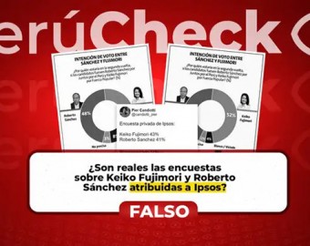 Circulan tres encuestas fabricadas atribuidas falsamente a Ipsos. FALSO