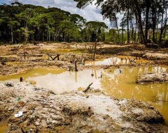 Madre de Dios: el mercurio envenena bosques, ríos y personas