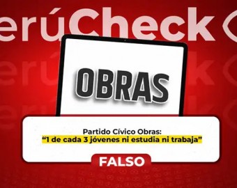 Es falso que uno de cada tres jóvenes no estudien ni trabajen, como indica el plan de gobierno del Partido Cívico Obras. FALSO