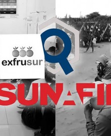 Ica: Sunafil multa con S/127 mil a Frutícola del Sur por intoxicación de trabajadores en fundo