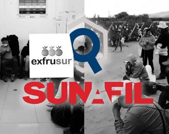 Ica: Sunafil multa con S/127 mil a Frutícola del Sur por intoxicación de trabajadores en fundo