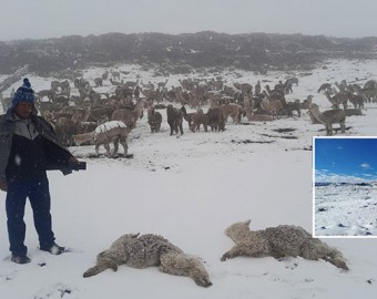 Intensas nevadas y lluvias persistentes se registran por fenómeno de la DANA Anibal en Apurímac