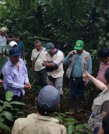 Madre de Dios: más de 1 millón de hectáreas de bosque evitaron ser deforestadas gracias a certificación