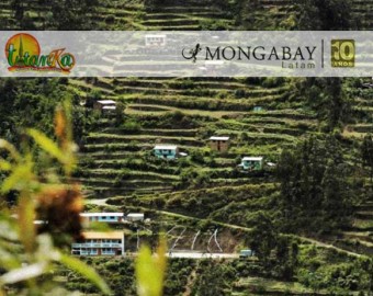 Andenes de Cuyocuyo: tecnología ancestral para conservar la biodiversidad en el altiplano peruano
