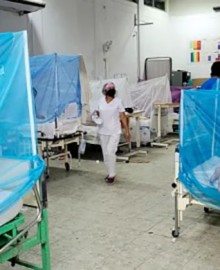 Ayacucho: reportan incremento de dengue en el Vraem y advierten mayor riesgo por lluvias intensas