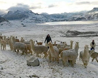 INDECI recomienda medidas de preparación ante la continuidad del descenso de la temperatura nocturna en la sierra centro y sur