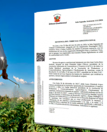 Tribunal Constitucional prohíbe temporalmente el uso y venta de cinco plaguicidas altamente tóxicos en el Perú