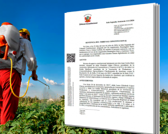 Tribunal Constitucional prohíbe temporalmente el uso y venta de cinco plaguicidas altamente tóxicos en el Perú