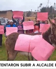 Huancavelica: pobladores intentaron subir a un burro a alcalde 