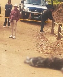 Hallan cuerpo calcinado de hombre en vía que conduce a localidad de Ocobamba