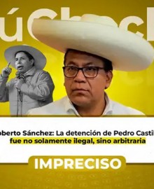 ¿La ONU declaró “arbitraria e ilegal” la detención de Pedro Castillo y exigió su liberación inmediata?