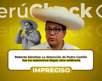 ¿La ONU declaró “arbitraria e ilegal” la detención de Pedro Castillo y exigió su liberación inmediata?