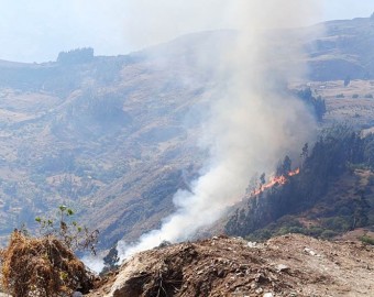 Comunero pierde la vida cuando intentaba apagar incendio forestal en Coyllurqui 