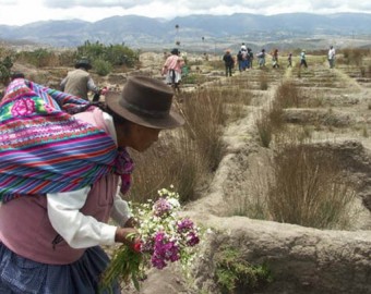 Gobierno de Dina Boluarte aprueba plazos que ponen fin a diligencias para buscar víctimas de desaparición forzada