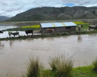 Puno: en alerta roja por desbordes de ríos