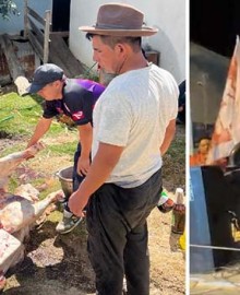 ¿De dónde tanta plata?: matan toro para inauguración de local de campaña de Ahora Nación, en Bacas
