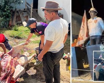 ¿De dónde tanta plata?: matan toro para inauguración de local de campaña de Ahora Nación, en Bacas