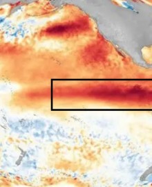 NOAA: El Niño se fortalece y eleva a 97 % probabilidad que se extienda hasta marzo de 2027