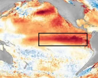 NOAA: El Niño se fortalece y eleva a 97 % probabilidad que se extienda hasta marzo de 2027