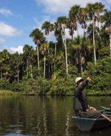 Áreas naturales desprotegidas: al menos ocho son impactadas por la minería ilegal