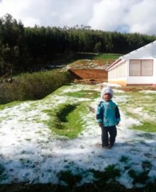 Ayacucho: intenso frío sigue golpeando a varias provincias de la región